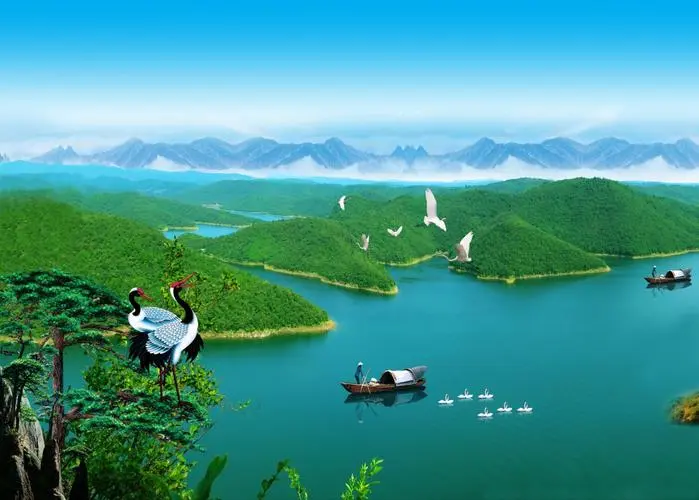 高效先进全自动